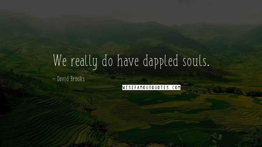 David Brooks Quotes: We really do have dappled souls.