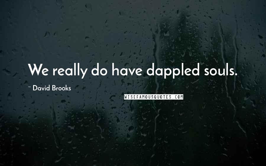 David Brooks Quotes: We really do have dappled souls.