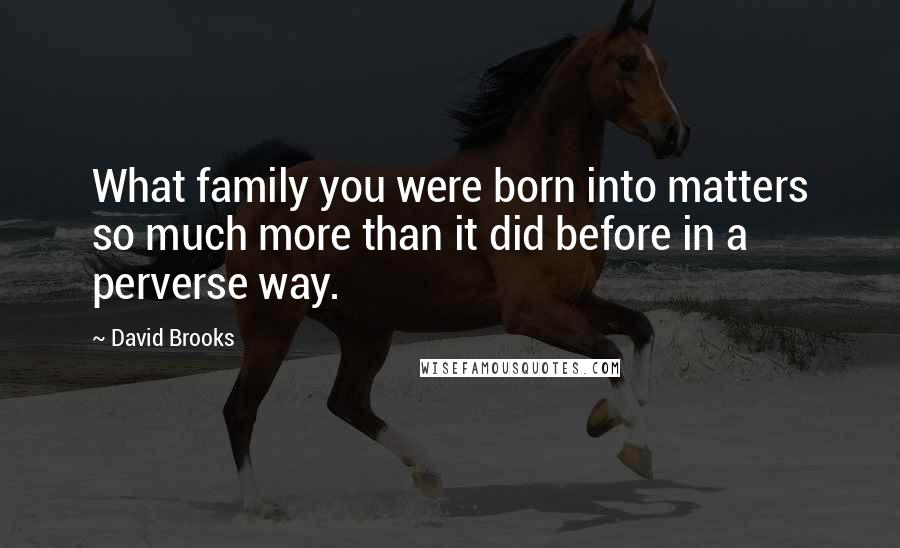 David Brooks Quotes: What family you were born into matters so much more than it did before in a perverse way.