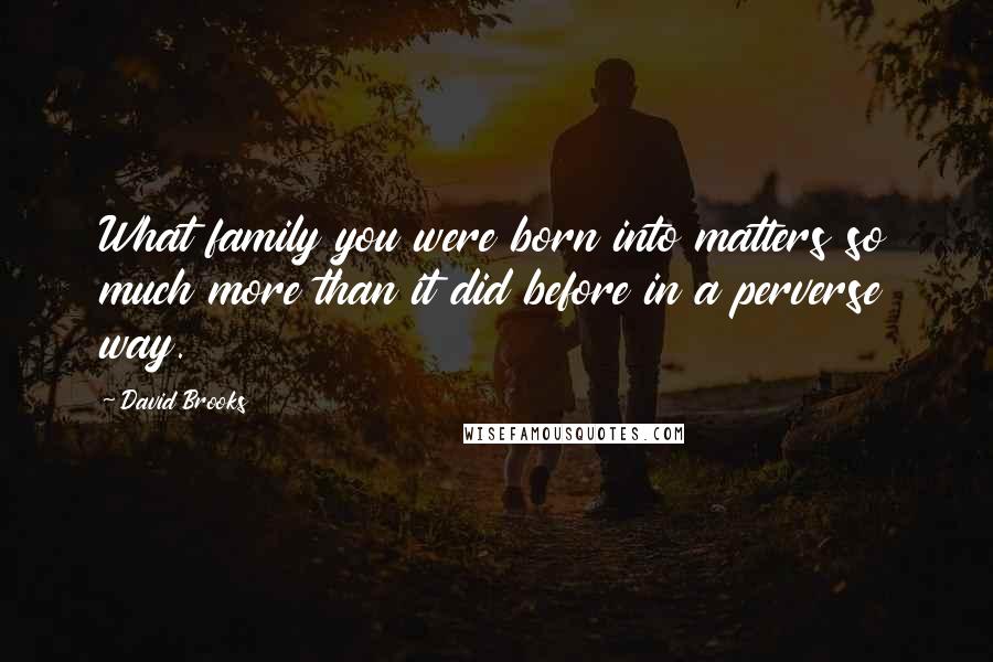 David Brooks Quotes: What family you were born into matters so much more than it did before in a perverse way.