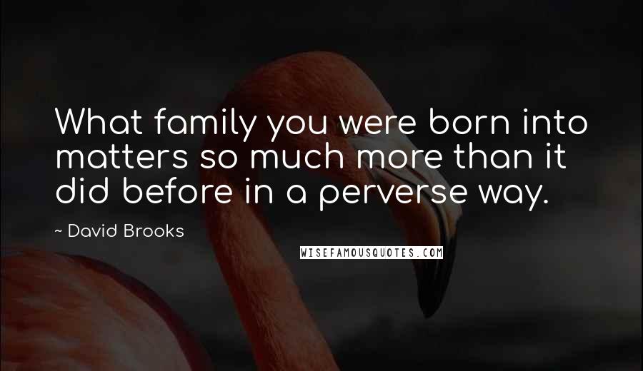 David Brooks Quotes: What family you were born into matters so much more than it did before in a perverse way.