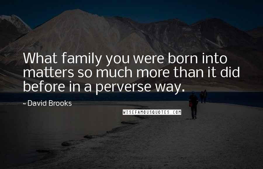 David Brooks Quotes: What family you were born into matters so much more than it did before in a perverse way.