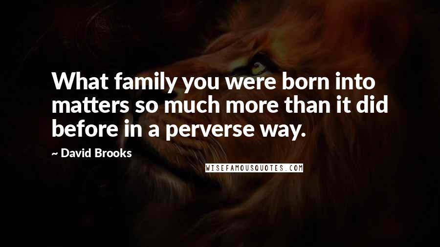 David Brooks Quotes: What family you were born into matters so much more than it did before in a perverse way.