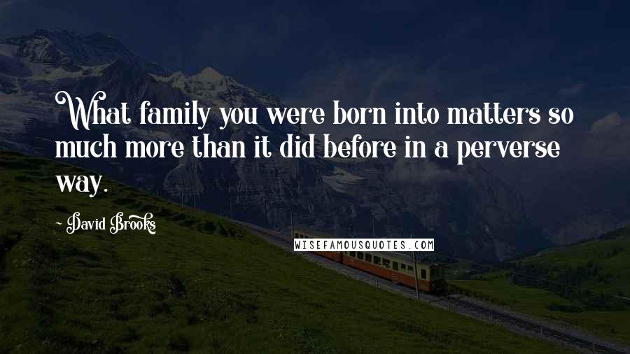 David Brooks Quotes: What family you were born into matters so much more than it did before in a perverse way.