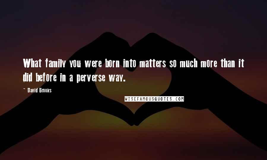 David Brooks Quotes: What family you were born into matters so much more than it did before in a perverse way.