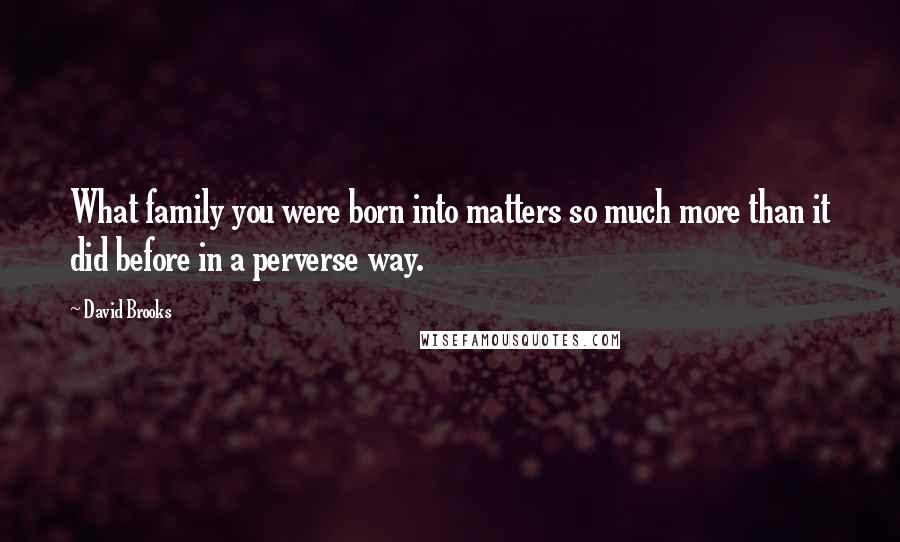David Brooks Quotes: What family you were born into matters so much more than it did before in a perverse way.