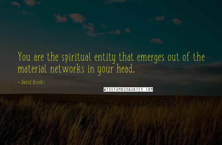 David Brooks Quotes: You are the spiritual entity that emerges out of the material networks in your head.