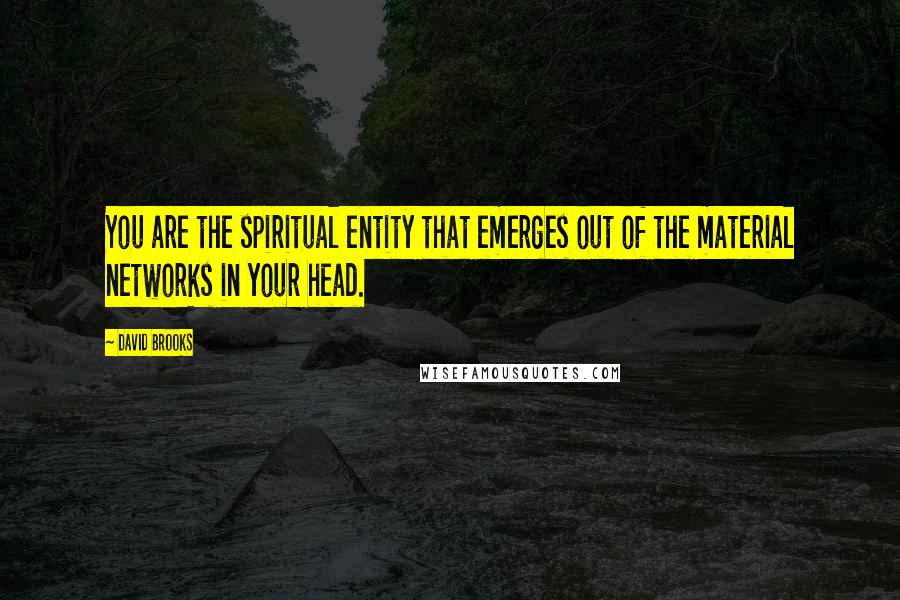 David Brooks Quotes: You are the spiritual entity that emerges out of the material networks in your head.
