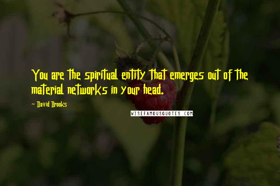 David Brooks Quotes: You are the spiritual entity that emerges out of the material networks in your head.