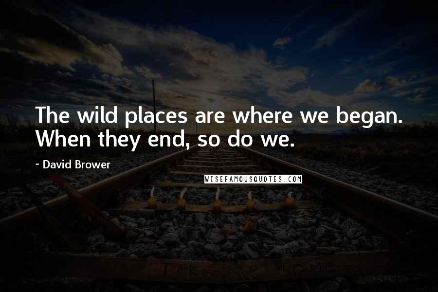 David Brower Quotes: The wild places are where we began. When they end, so do we.