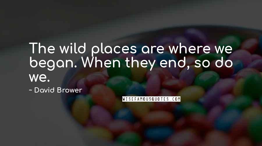 David Brower Quotes: The wild places are where we began. When they end, so do we.