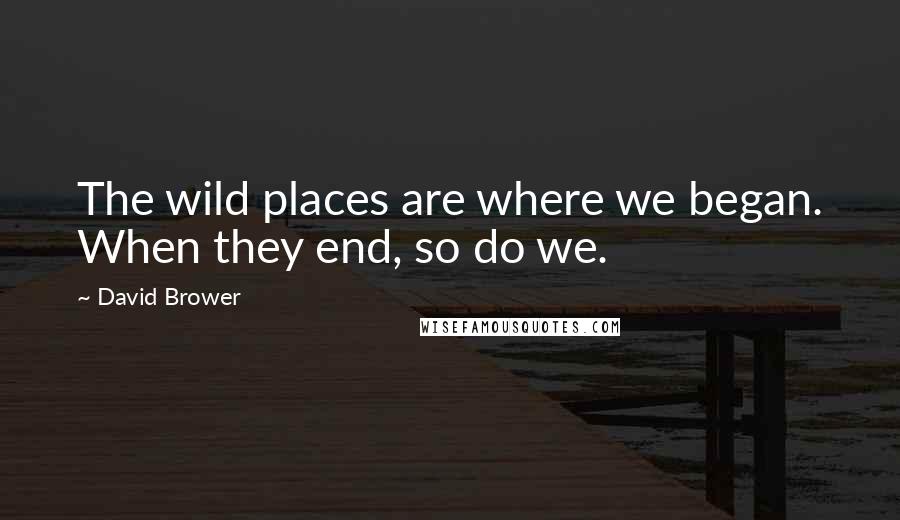 David Brower Quotes: The wild places are where we began. When they end, so do we.