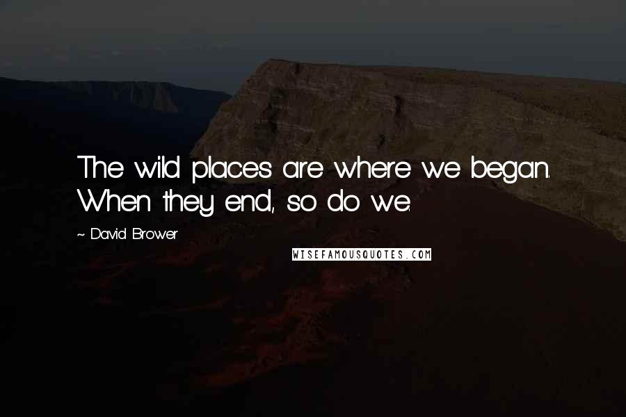 David Brower Quotes: The wild places are where we began. When they end, so do we.