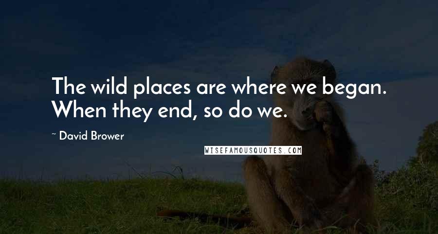 David Brower Quotes: The wild places are where we began. When they end, so do we.