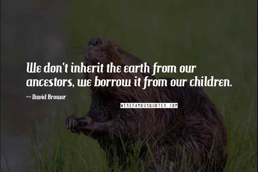 David Brower Quotes: We don't inherit the earth from our ancestors, we borrow it from our children.