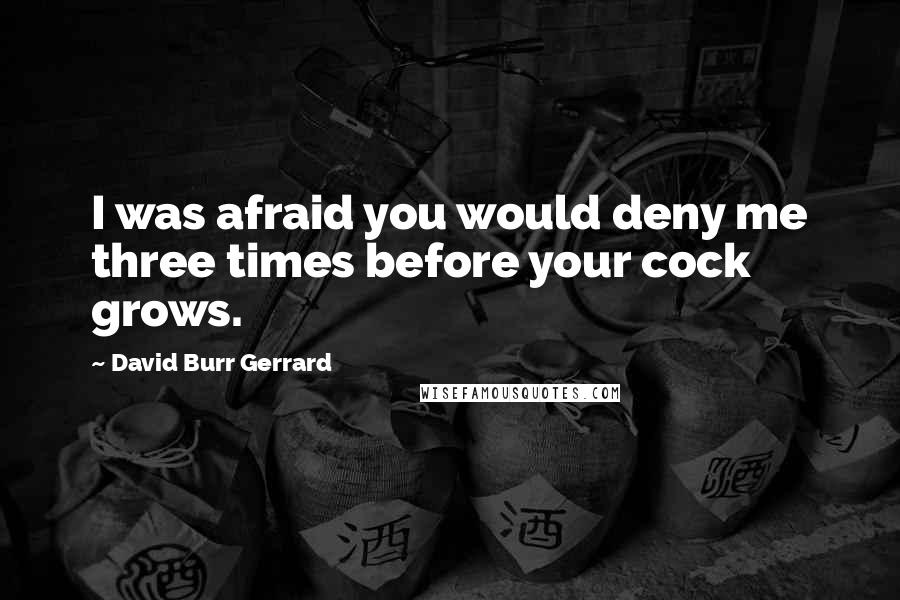 David Burr Gerrard Quotes: I was afraid you would deny me three times before your cock grows.