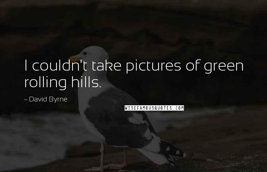 David Byrne Quotes: I couldn't take pictures of green rolling hills.