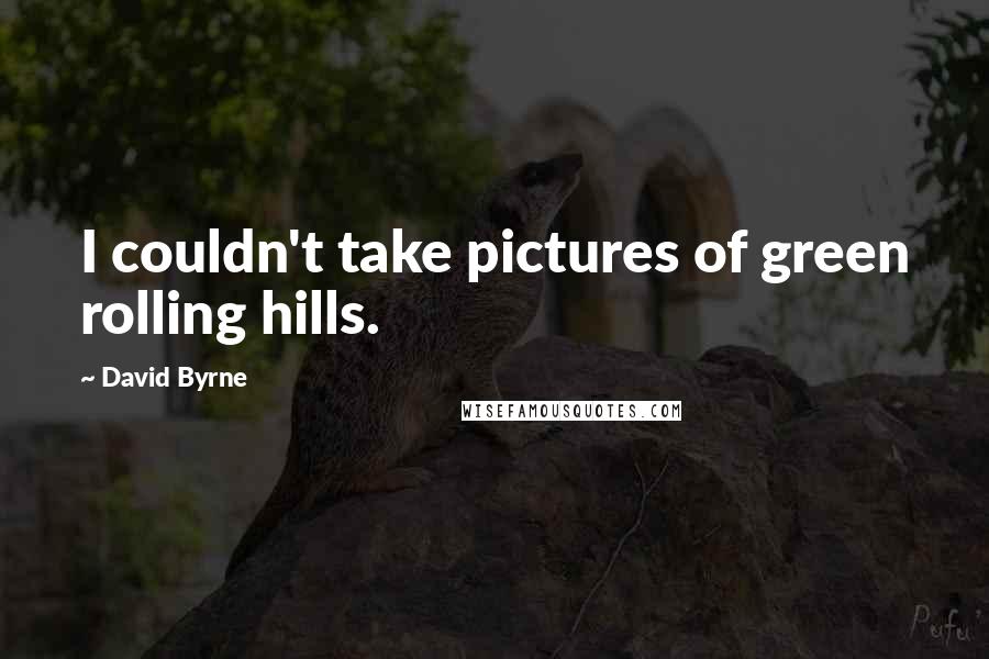 David Byrne Quotes: I couldn't take pictures of green rolling hills.