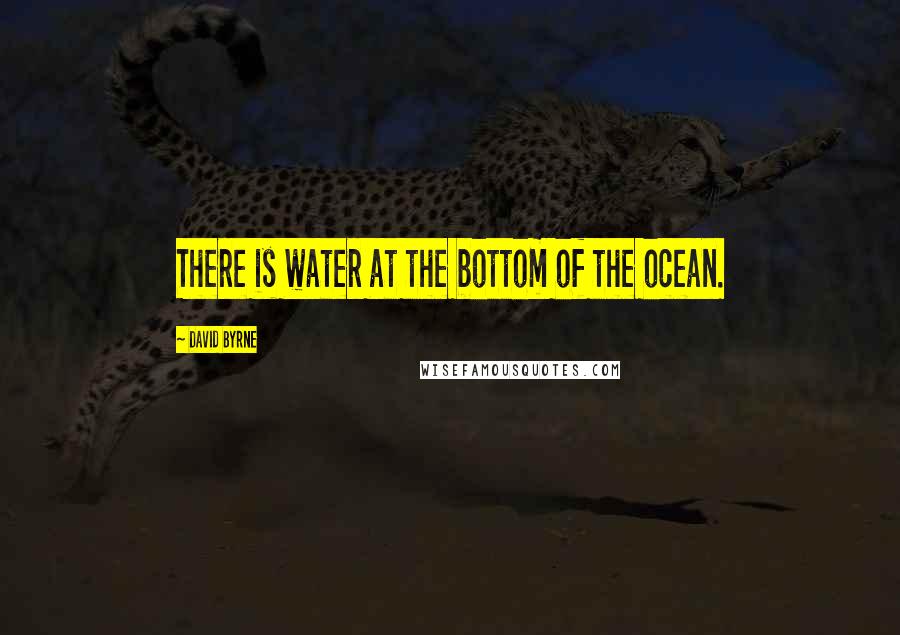 David Byrne Quotes: There is water at the bottom of the ocean.