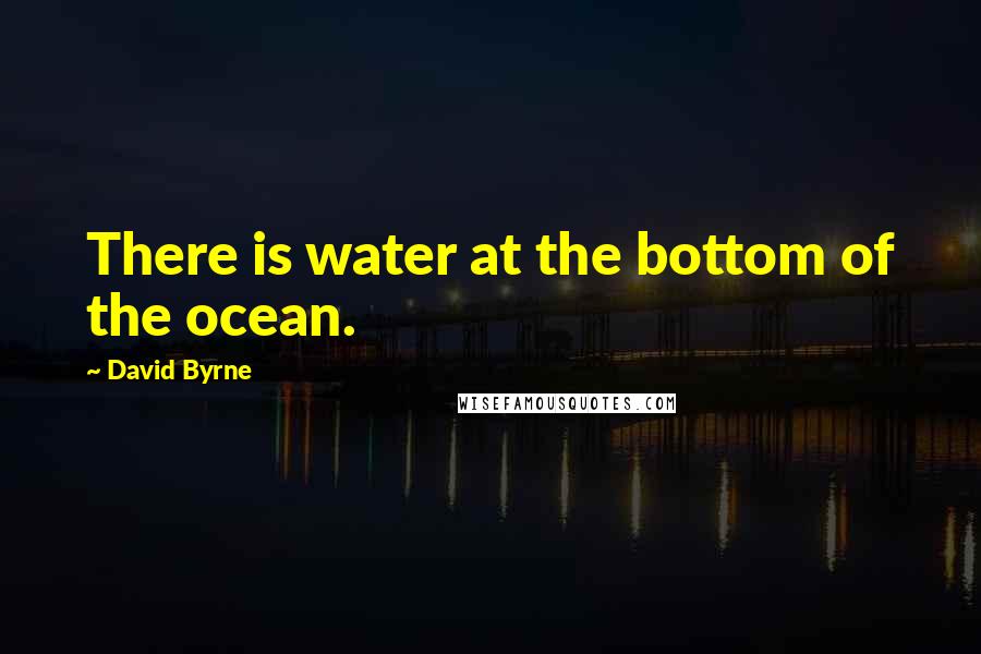 David Byrne Quotes: There is water at the bottom of the ocean.