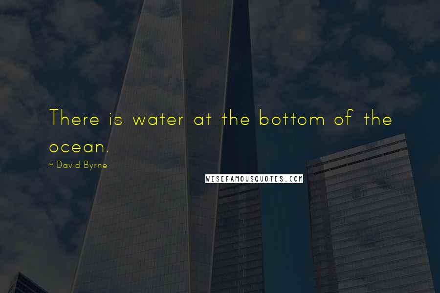 David Byrne Quotes: There is water at the bottom of the ocean.