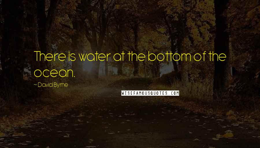 David Byrne Quotes: There is water at the bottom of the ocean.