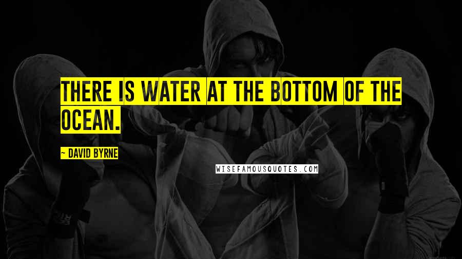 David Byrne Quotes: There is water at the bottom of the ocean.