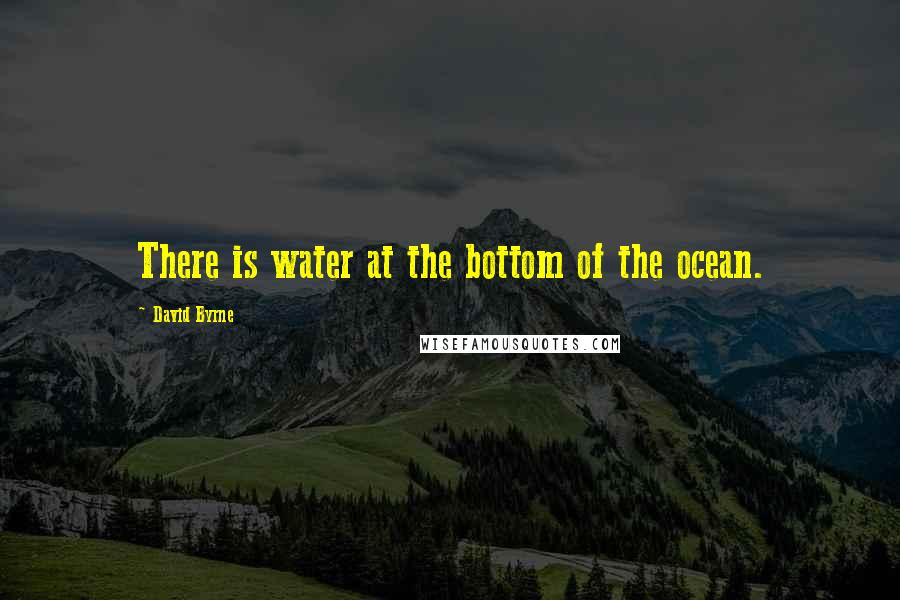 David Byrne Quotes: There is water at the bottom of the ocean.