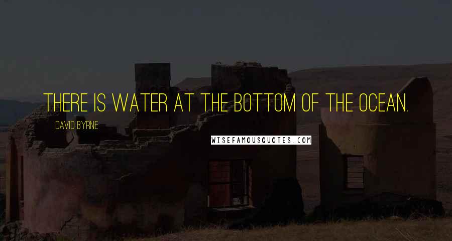 David Byrne Quotes: There is water at the bottom of the ocean.