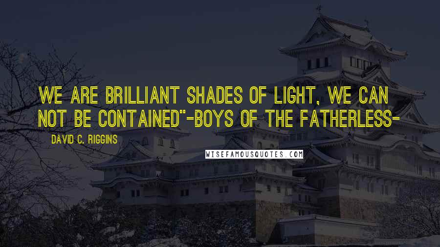 David C. Riggins Quotes: We are brilliant shades of light, we can not be contained"-Boys of the Fatherless-