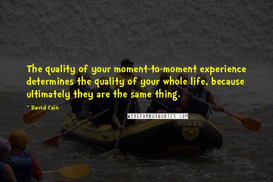 David Cain Quotes: The quality of your moment-to-moment experience determines the quality of your whole life, because ultimately they are the same thing.