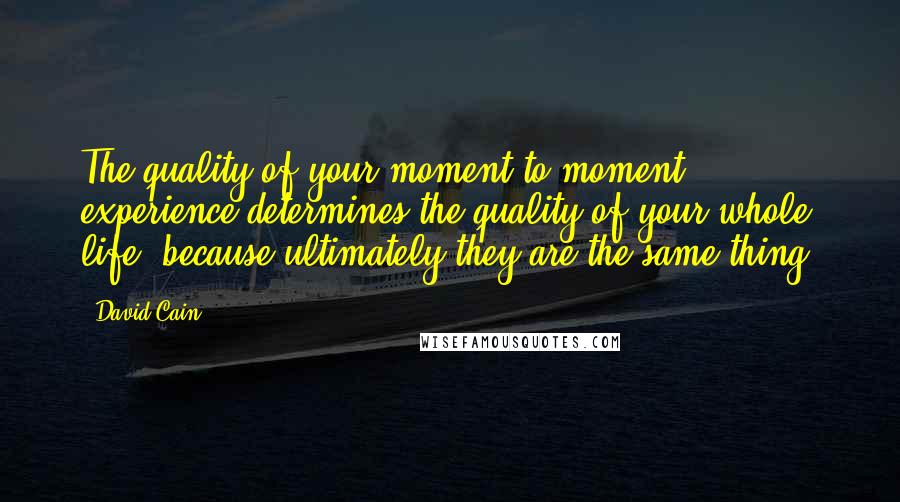 David Cain Quotes: The quality of your moment-to-moment experience determines the quality of your whole life, because ultimately they are the same thing.