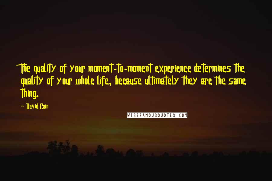 David Cain Quotes: The quality of your moment-to-moment experience determines the quality of your whole life, because ultimately they are the same thing.