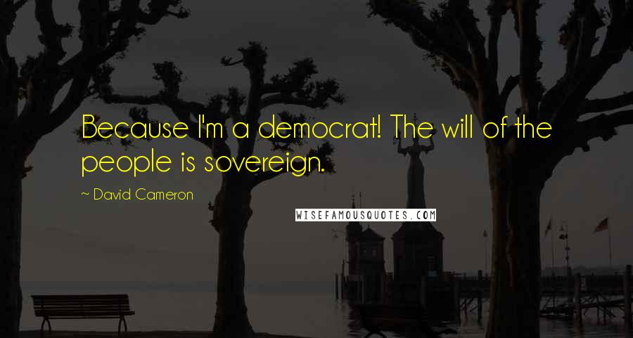 David Cameron Quotes: Because I'm a democrat! The will of the people is sovereign.
