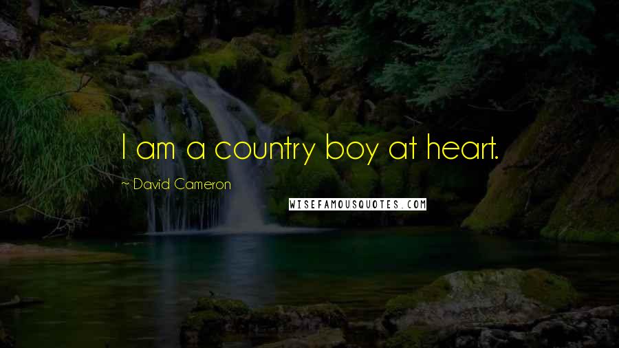 David Cameron Quotes: I am a country boy at heart.