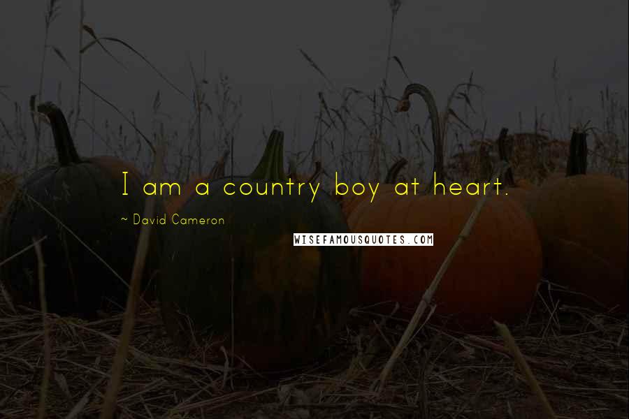 David Cameron Quotes: I am a country boy at heart.