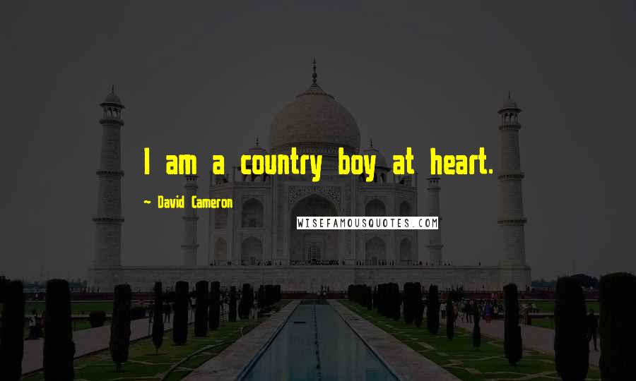 David Cameron Quotes: I am a country boy at heart.