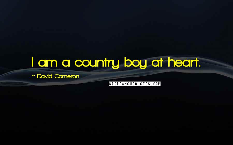 David Cameron Quotes: I am a country boy at heart.