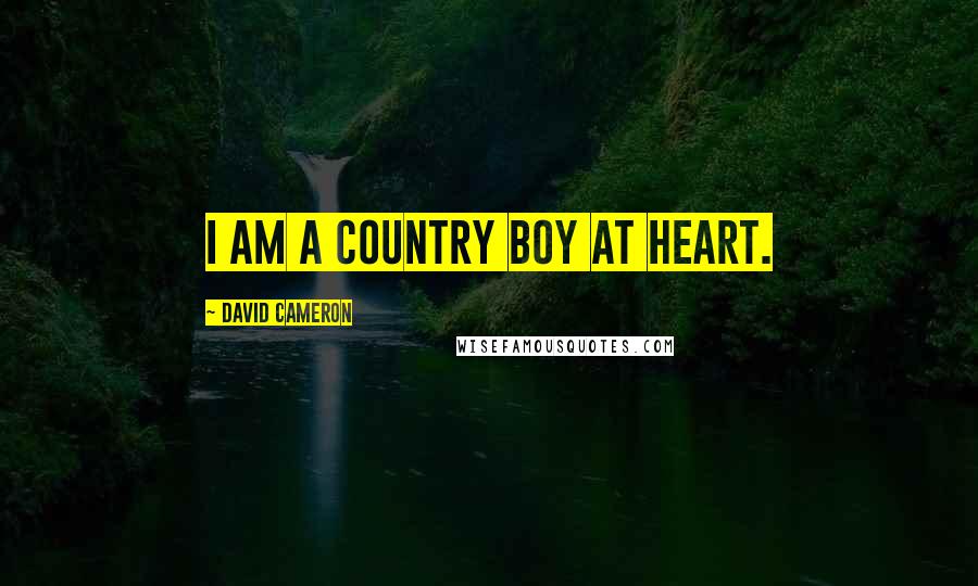 David Cameron Quotes: I am a country boy at heart.