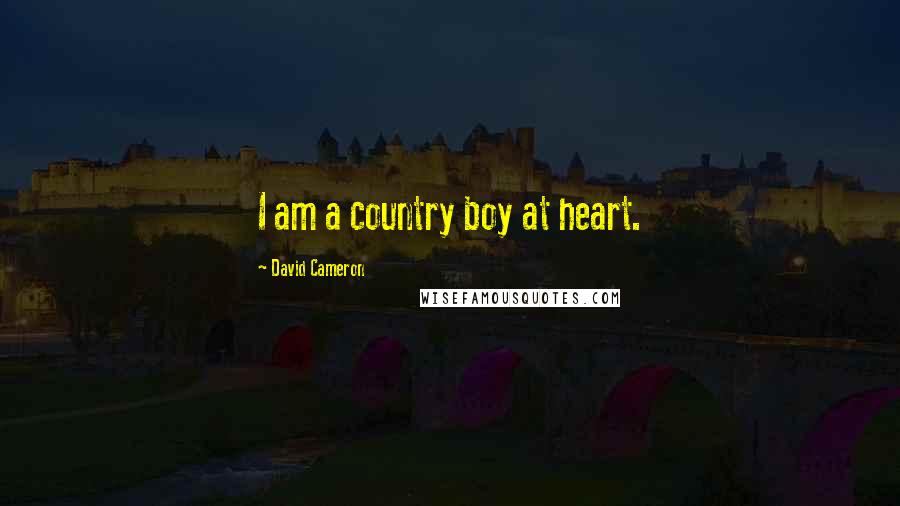 David Cameron Quotes: I am a country boy at heart.