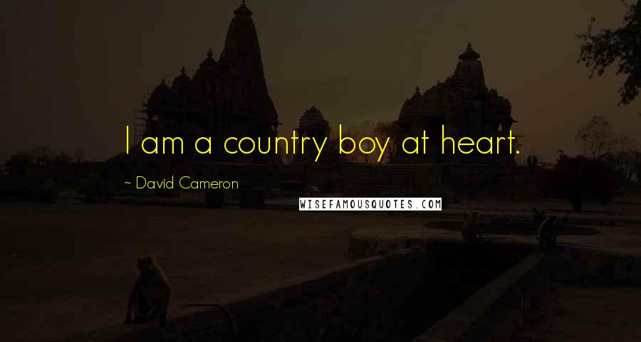 David Cameron Quotes: I am a country boy at heart.