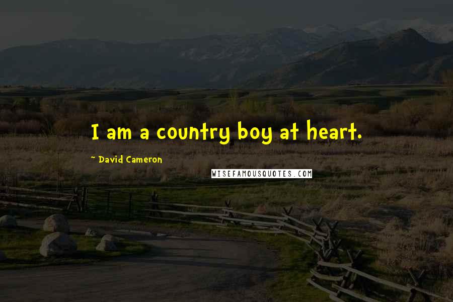 David Cameron Quotes: I am a country boy at heart.