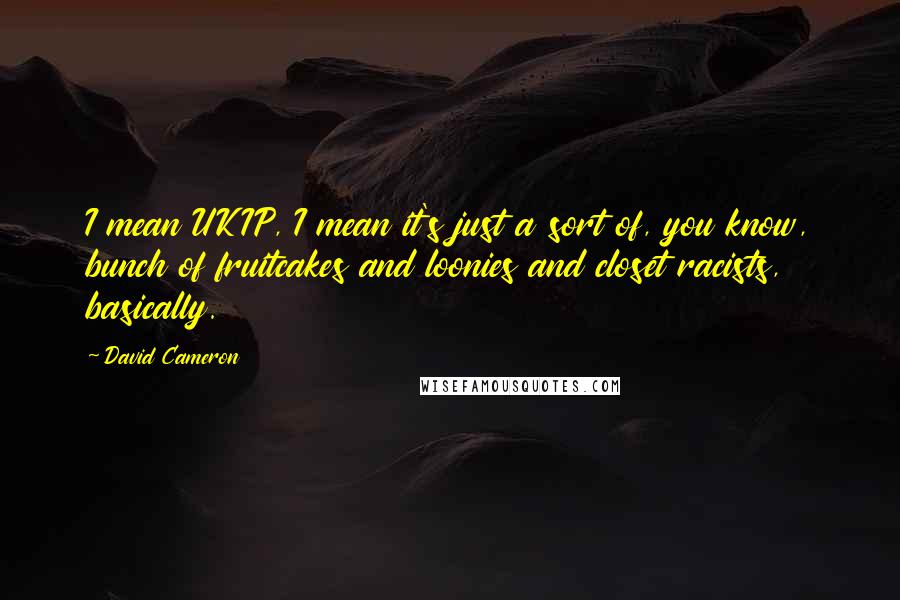 David Cameron Quotes: I mean UKIP, I mean it's just a sort of, you know, bunch of fruitcakes and loonies and closet racists, basically.