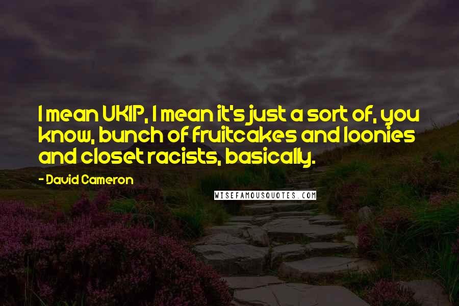 David Cameron Quotes: I mean UKIP, I mean it's just a sort of, you know, bunch of fruitcakes and loonies and closet racists, basically.
