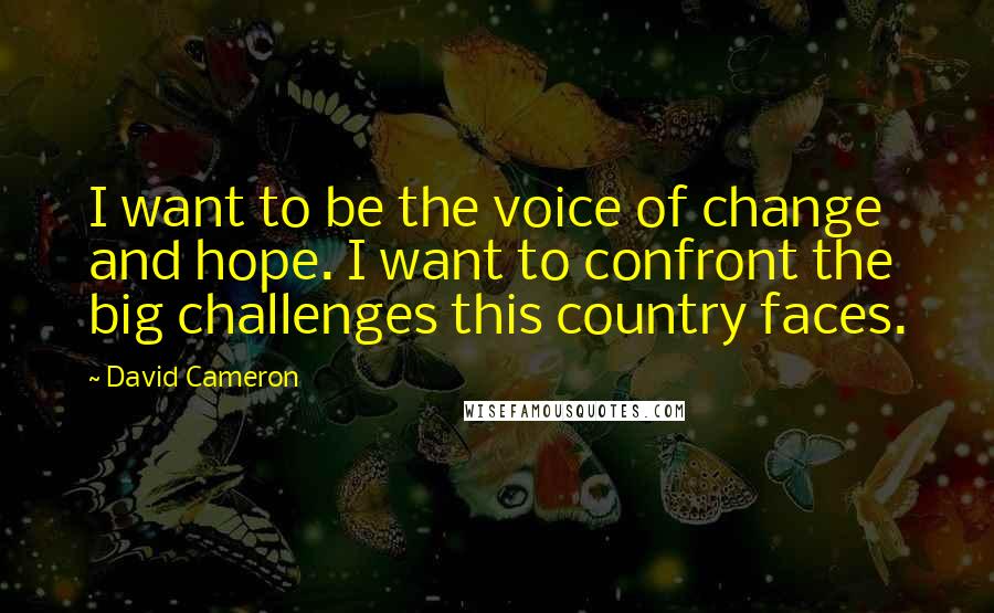David Cameron Quotes: I want to be the voice of change and hope. I want to confront the big challenges this country faces.