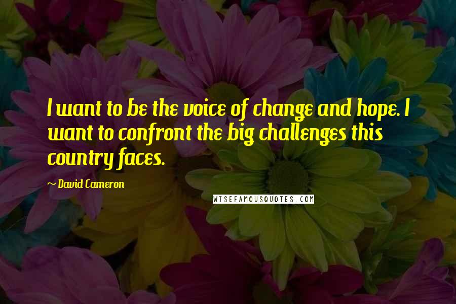 David Cameron Quotes: I want to be the voice of change and hope. I want to confront the big challenges this country faces.