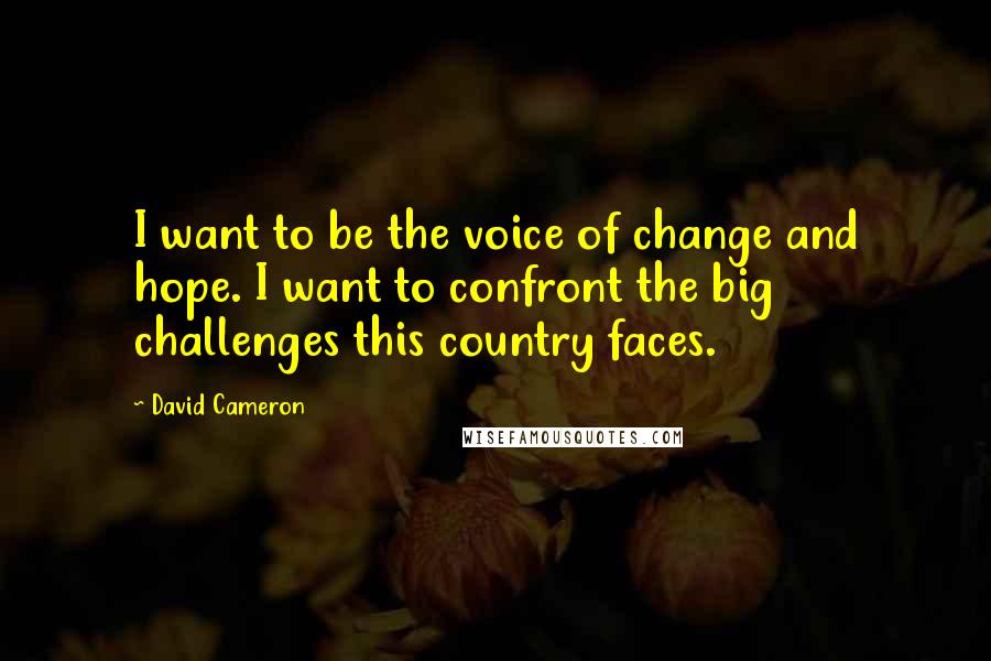 David Cameron Quotes: I want to be the voice of change and hope. I want to confront the big challenges this country faces.