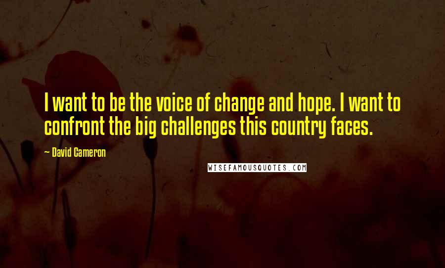 David Cameron Quotes: I want to be the voice of change and hope. I want to confront the big challenges this country faces.