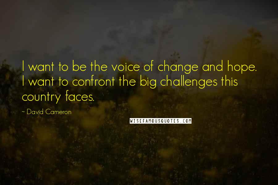 David Cameron Quotes: I want to be the voice of change and hope. I want to confront the big challenges this country faces.