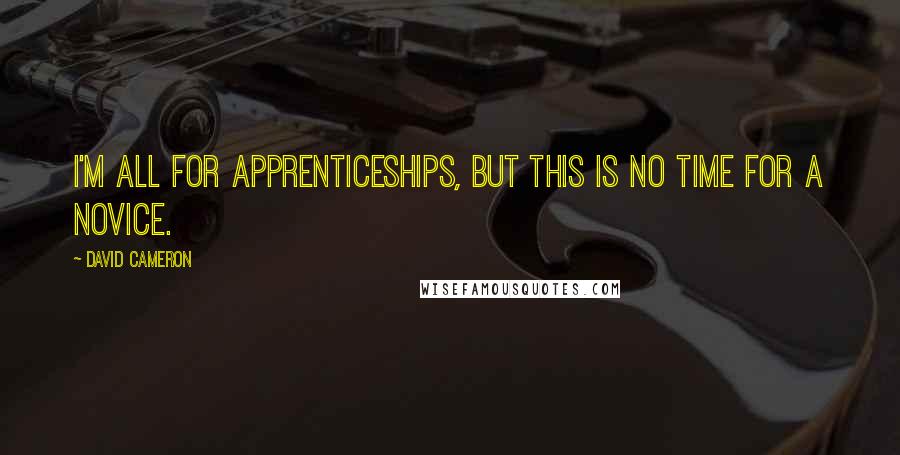 David Cameron Quotes: I'm all for apprenticeships, but this is no time for a novice.